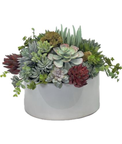 Silk Succulent Arrangement