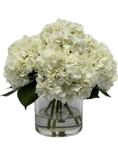 White Silk Hydrangeas