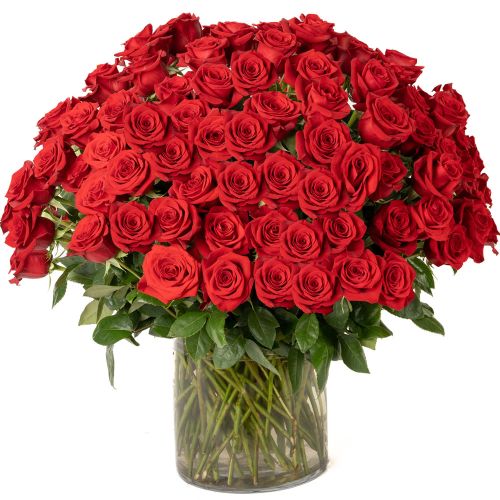 100 Red Roses 