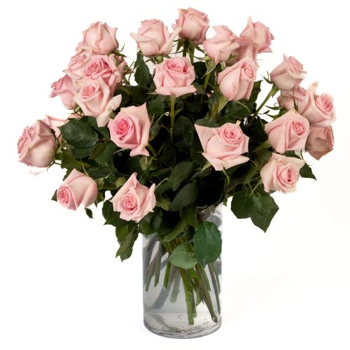 Three Dozen Soft Pink Roses 
