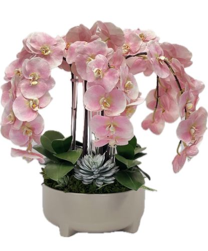 Pink Waterfall Orchid Silk Arrangement 