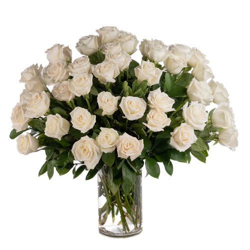 Four Dozen White Roses 