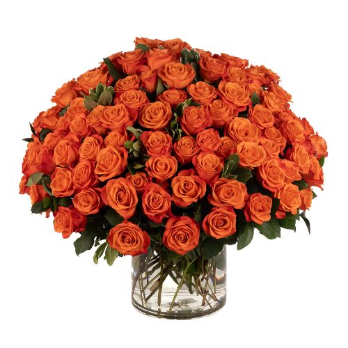 100 Orange Roses