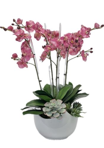 Variegated Pink Orchid Silk Arrangement